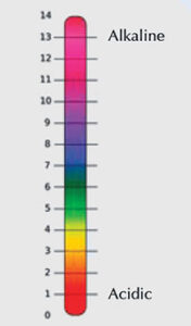 Analysing wine at school – Science in School