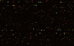 issue12microarray