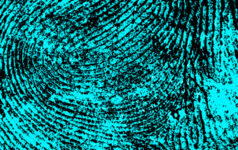 issue49_fingerprints_teaser