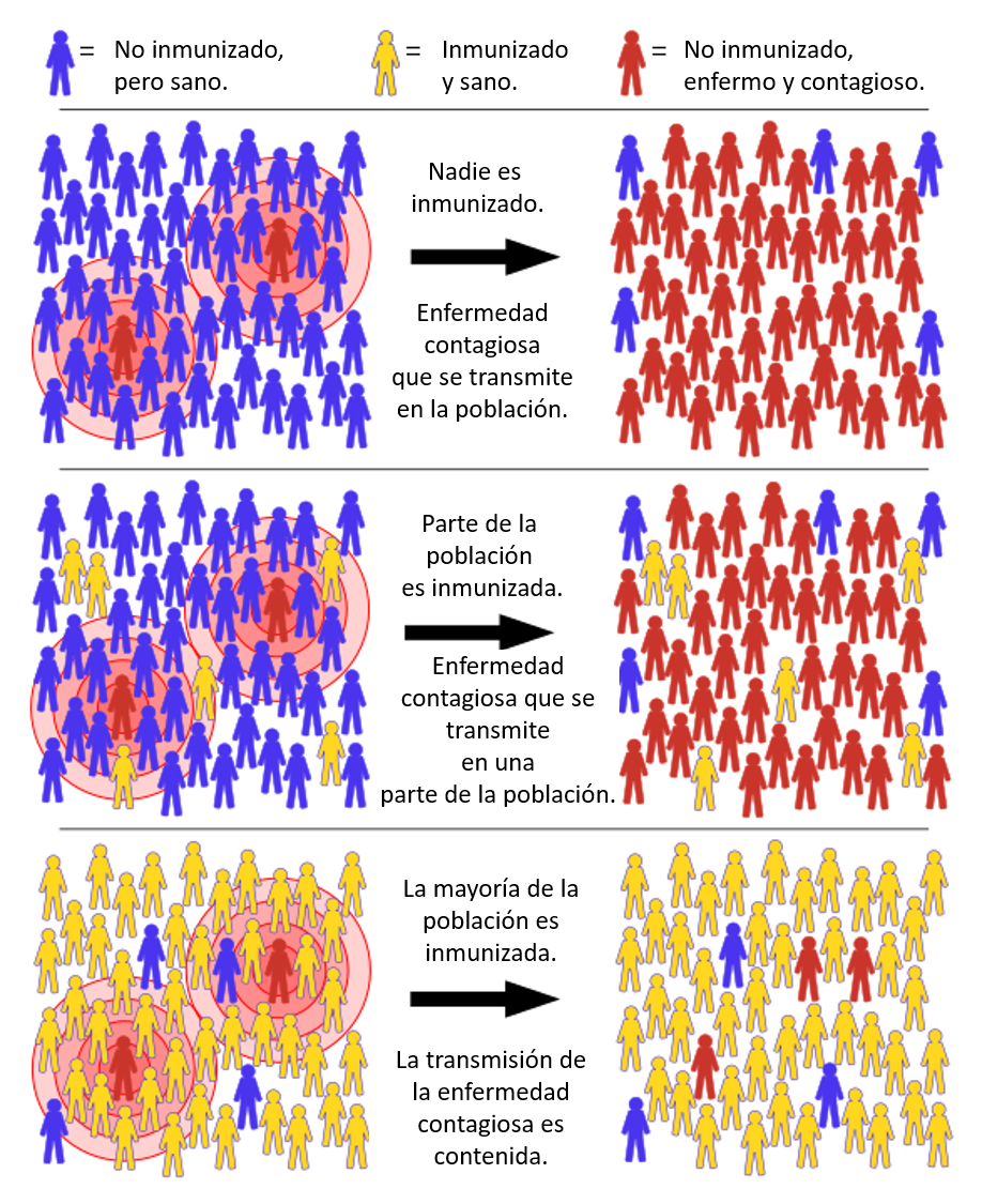 Vacunas En El Centro De Atención – Science In School