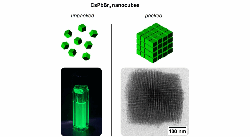 Left: an illustration of individual green cubes is shown above a vial filled with a glowing green solution. Right: individual cubes assemble to a bigger cube. Underneath a black and white microscopy image is showing a 3D structure of many tiny cubes assembled to a bigger cube.
